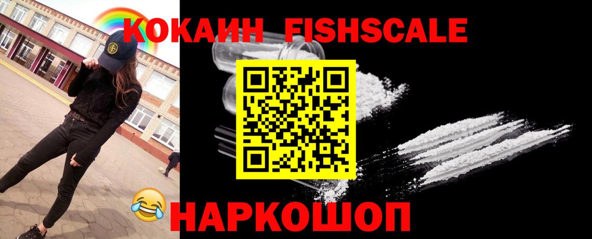 COCAIN Fish Scale  Вход с VPN  Армавир 