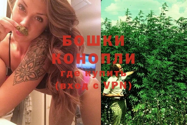 ПСИЛОЦИБИНОВЫЕ ГРИБЫ Балахна