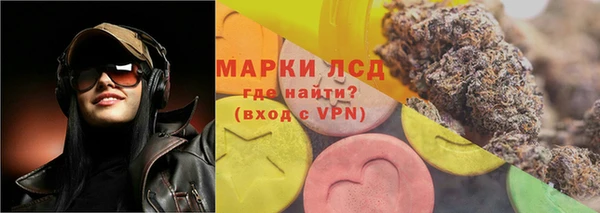 ПСИЛОЦИБИНОВЫЕ ГРИБЫ Баксан