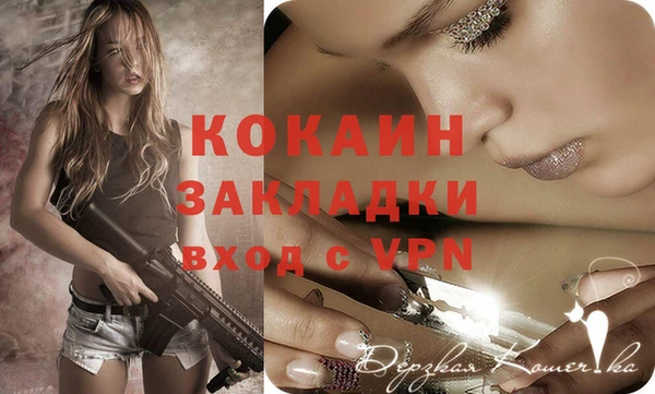 2c-b Новозыбков
