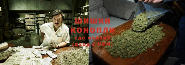 ПСИЛОЦИБИНОВЫЕ ГРИБЫ Баксан