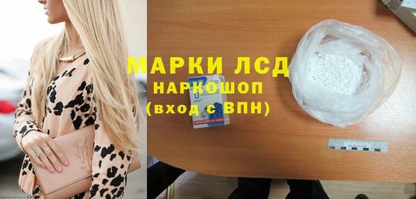 ПСИЛОЦИБИНОВЫЕ ГРИБЫ Баксан