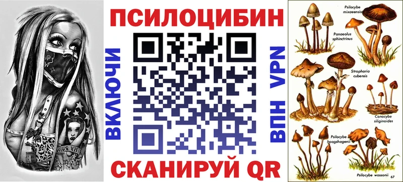 Псилоцибиновые грибы прущие грибы  где найти наркотики  МЕГА как войти  Армавир 