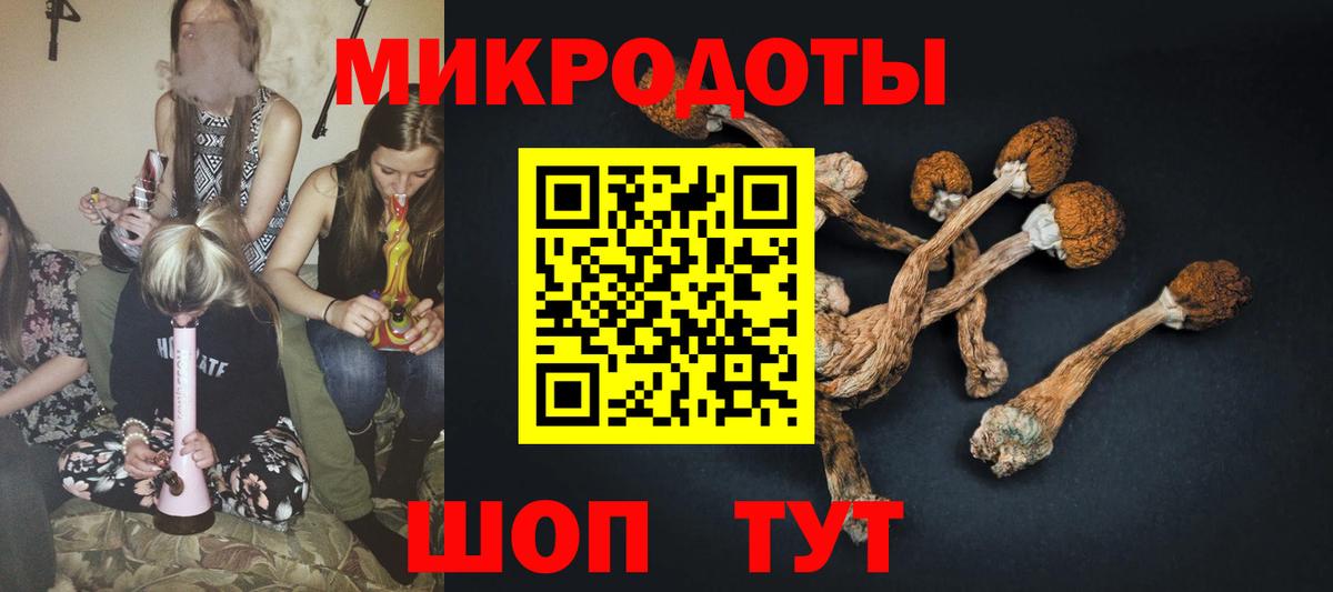 Галлюциногенные грибы Magic Shrooms  Псилоцибиновые грибы Magic Shrooms  Вход с VPN  Армавир 